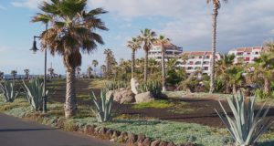 Auswandern nach Teneriffa